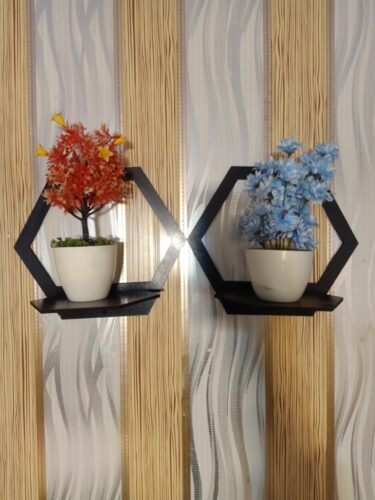 Hexagon MDF Wooden Wall Shelf For kids, girls, bed room (S4) photo review