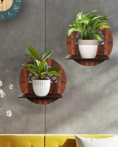 Set of 4 Random Round Wall Hanging Laminated MDF Plants(S8) photo review
